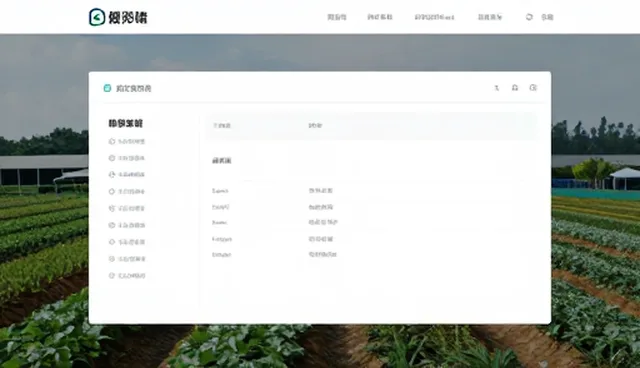 项目执行效率提升的关键因素及适用条件