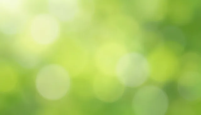 项目咨询中的决策依据:适用情况与限制分析